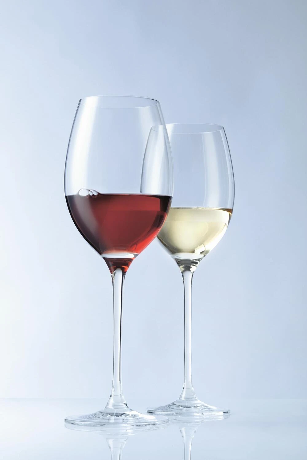 Leonardo Weißweinglas CHEERS 400 Ml, 6er-Set 4 Leonardo Weißweinglas CHEERS 400 Ml, 6er-Set – Bild 2